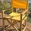 Teak Folding Directors Chairs with Sunbrella
